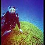 Bizardní portrét na kapustě